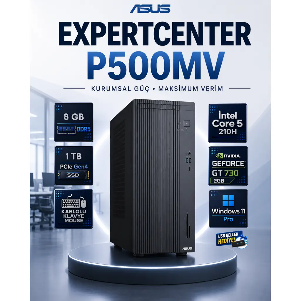 P500MV Intel Core 5 210H 8 GB DDR5 1 TB SSD Nvidia GeForce GT 730 Windows 11 Pro Masaüstü Bilgisayar P500MVCORE5GT730RNP02
